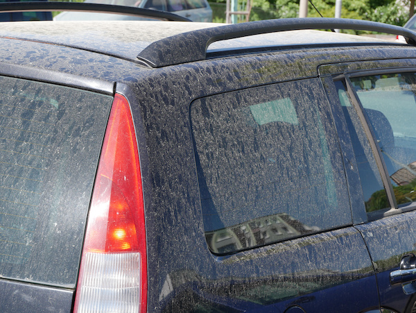 Can Pollen Damage Your Car?